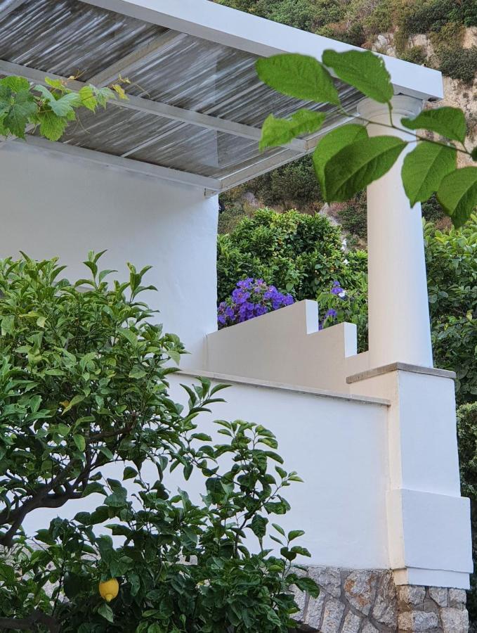 Hotel Nautilus Capri Bagian luar foto