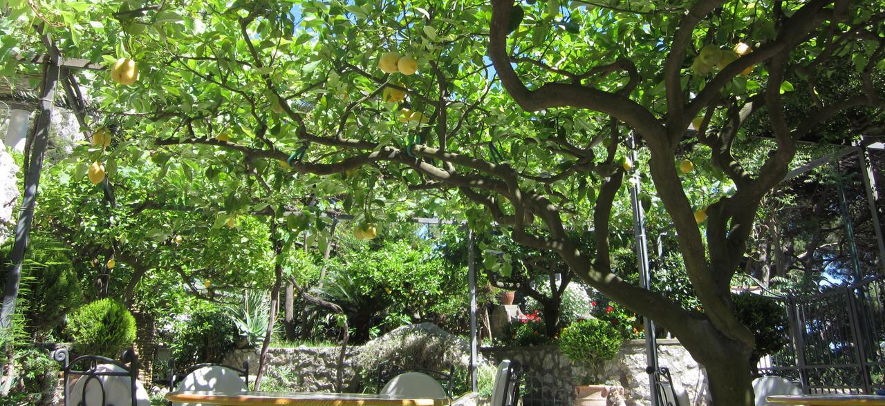 Hotel Nautilus Capri Bagian luar foto
