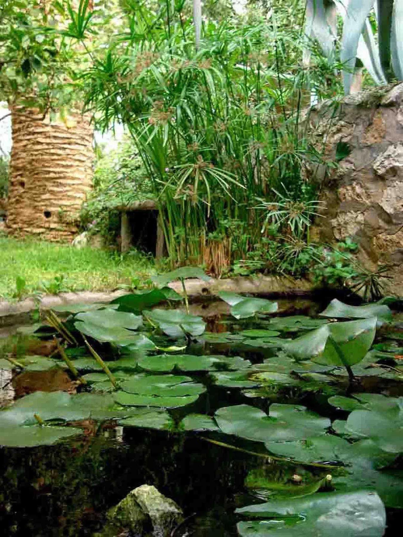 Hotel Nautilus Capri Bagian luar foto
